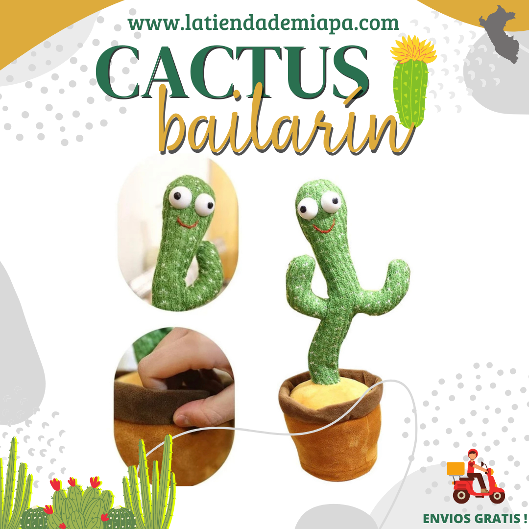 🌵 Cactus Bailarín  🌵- ENVIO GRATIS